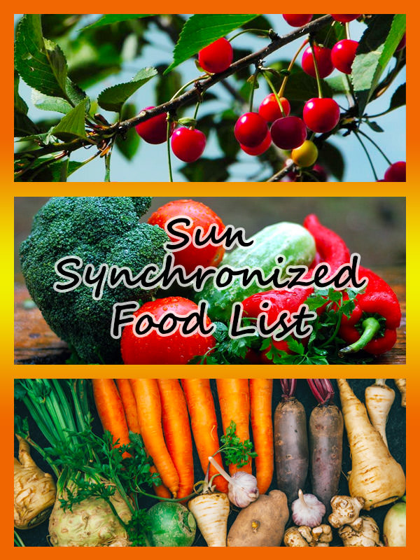 Sun Synchronized Food List — Atom Bergstrom Sun Synchronized Food List