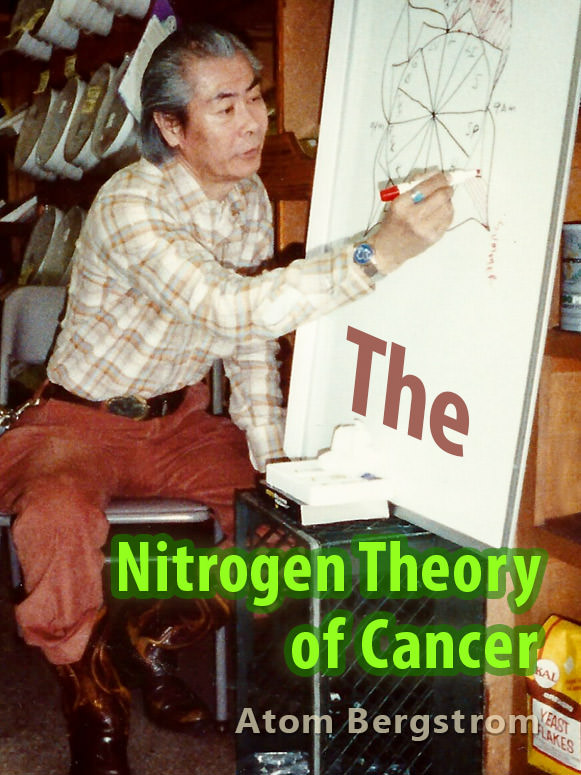 The Nitrogen Theory of Cancer — Atom Bergstrom The Nitrogen Theory of Cancer