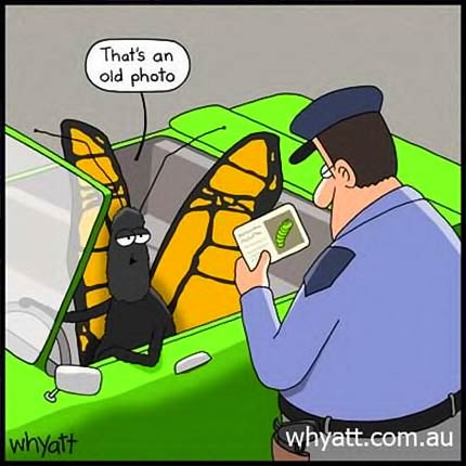 cartoon