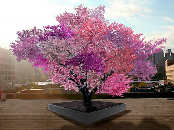 Tree of 40 Fruit